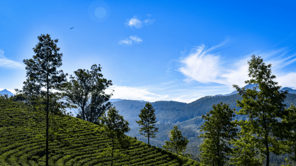 Kerala Tour Packages min 6