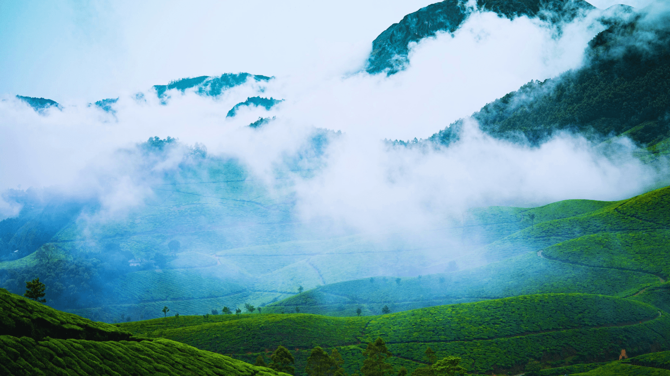 munnar sightseeing min